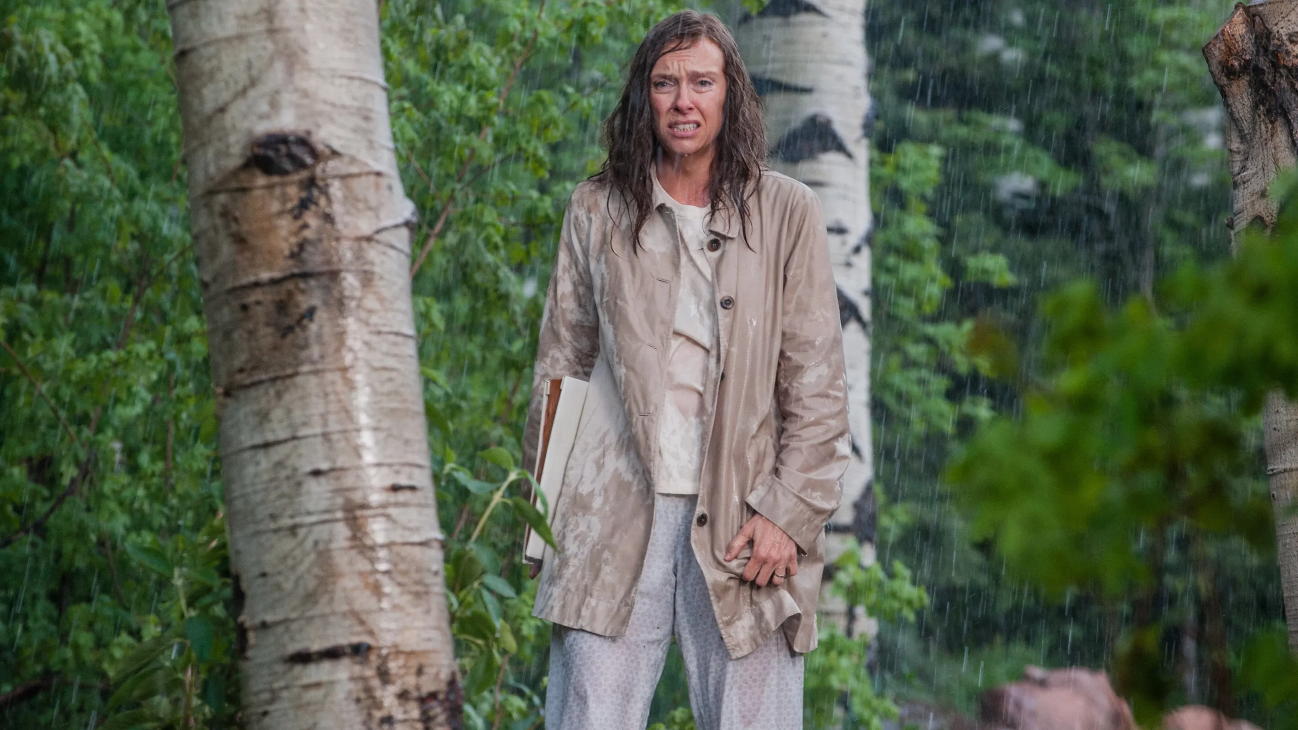 Ayin - Hereditary (2018) 3 Ayin - Hereditary (2018) 2018, Alex Wolff, Ari Aster, Dram, Gabriel Byrne, Gerilim, Gizem, Korku, Toni Collette