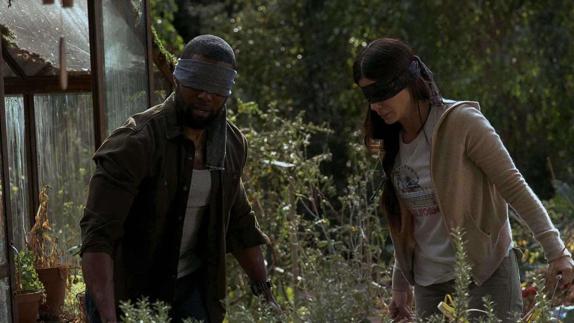 Bird Box (2018) 4 Bird Box (2018) Eric Heisserer, John Malkovich, Josh Malerman, Sandra Bullock, Sarah Paulson, Susanna Bier, Trevante Rhodes