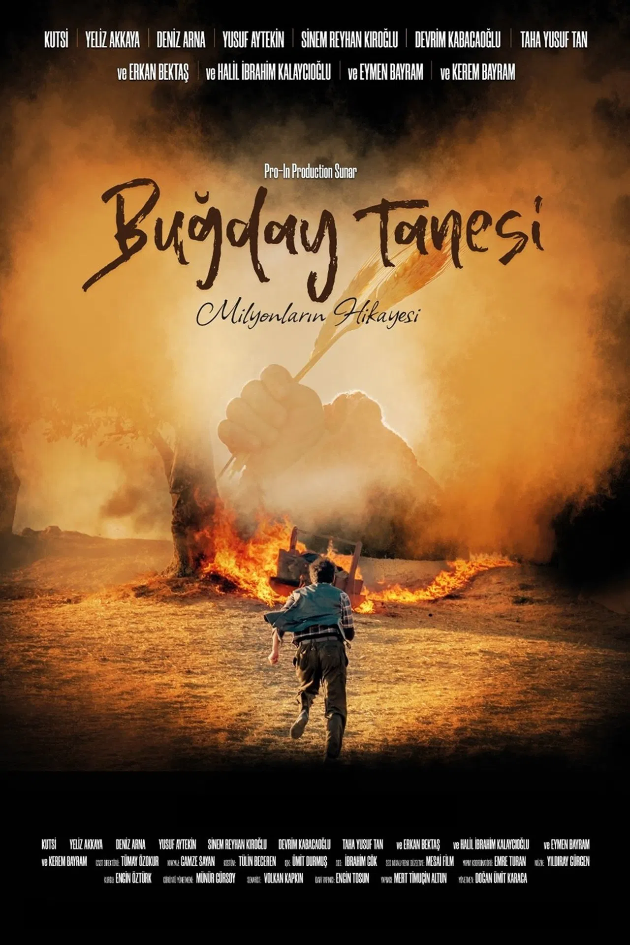 Buğday Tanesi film posteri.