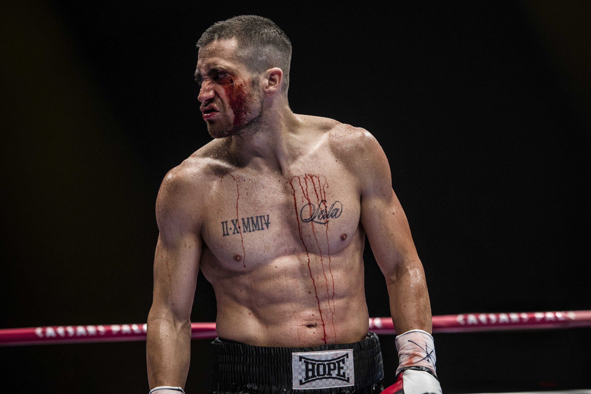 Jake Gyllenhaal'ın Ölmeden Önce İzlemeniz Gereken 5 Filmi Jake Gyllenhaal