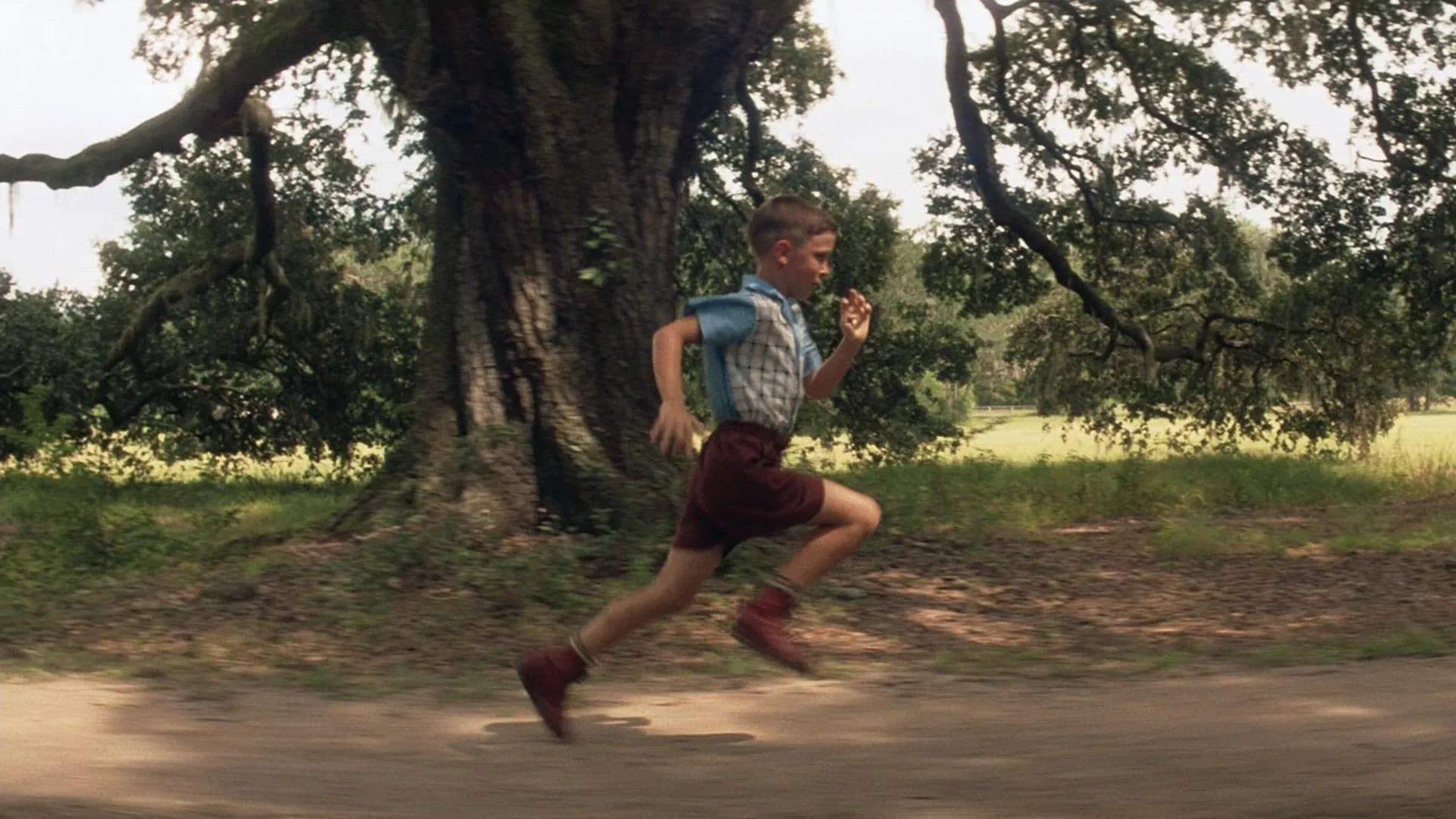 Forrest Gump (1994) 3 Forrest Gump (1994) Dram, Romantik