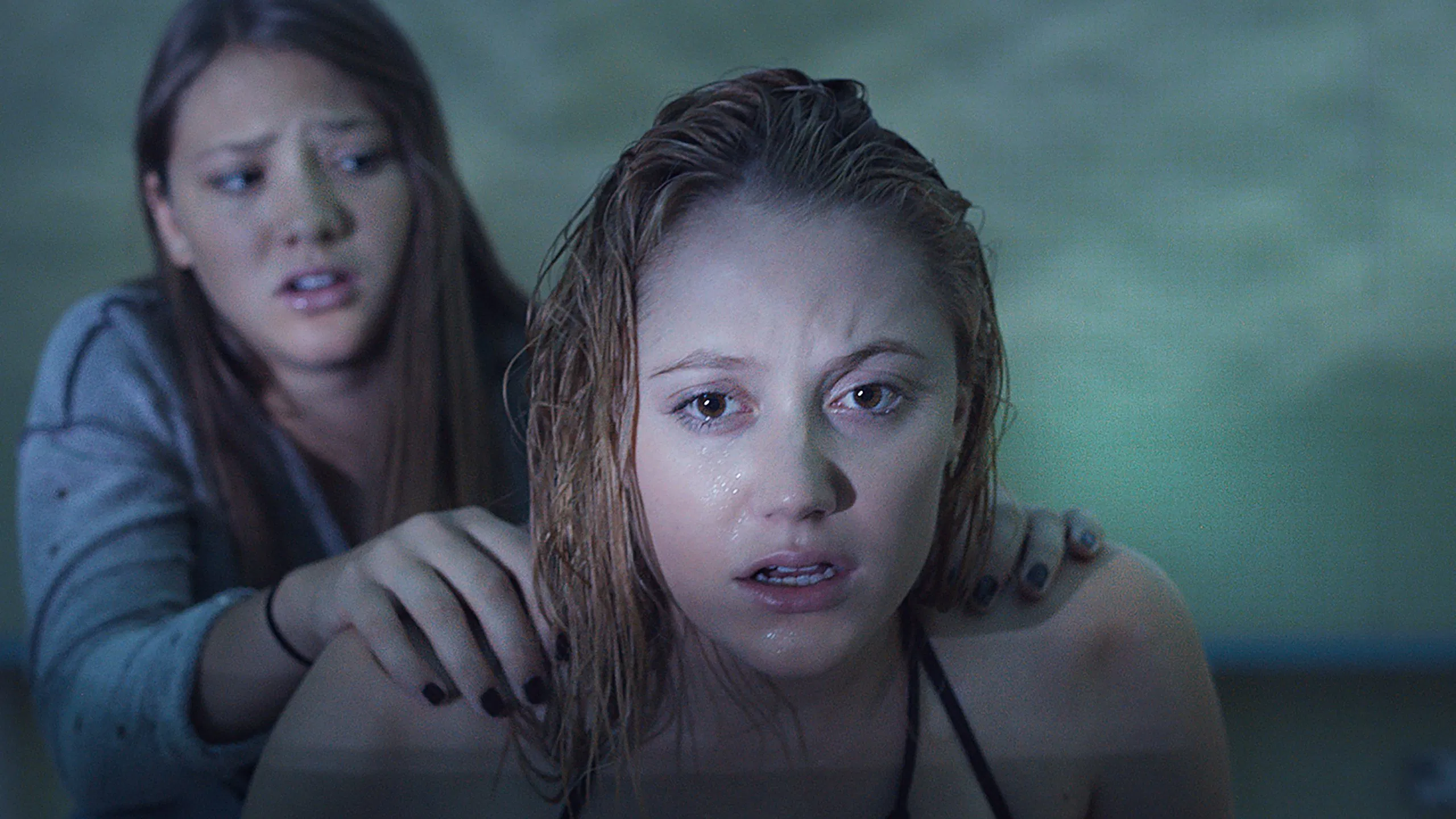 Peşimdeki Şeytan - It Follows (2014) 2014, Bailey Spry, Carolette Phillips, David Robert Mitchell, Gerilim, Gizem, Korku, Loren Bass