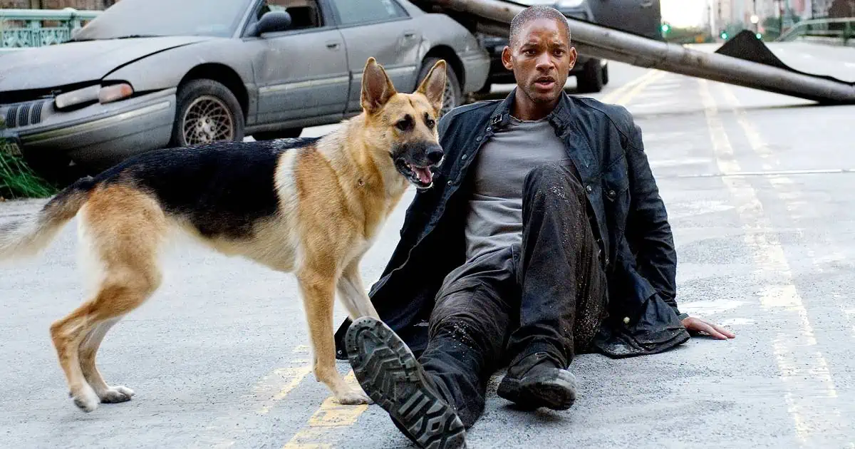 Ben Efsaneyim - I Am Legend (2007) 2007, Akiva Goldsman, Alice Braga, Bilim Kurgu, Charlie Tahan, Dram, Francis Lawrence, Gerilim, Korku, Mark Protosevich, Richard Matheson, Will Smith