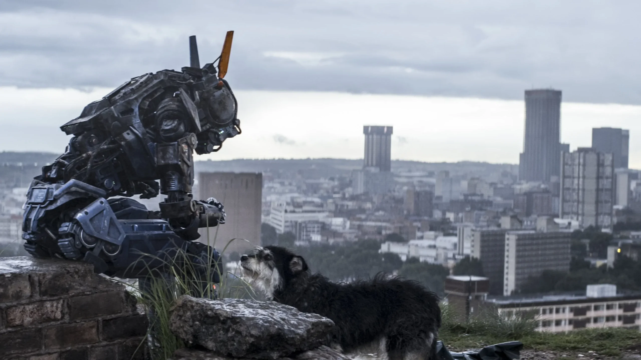 Chappie (2015) 2015, Aksiyon, Bilim Kurgu, Dev Patel, Dram, Gerilim, Hugh Jackman, Jose Pablo Cantillo, Neill Blomkamp, Ninja, Sharlto Copley, Sigourney Weaver, Suç, Terri Tatchell, Yo-Landi Visser