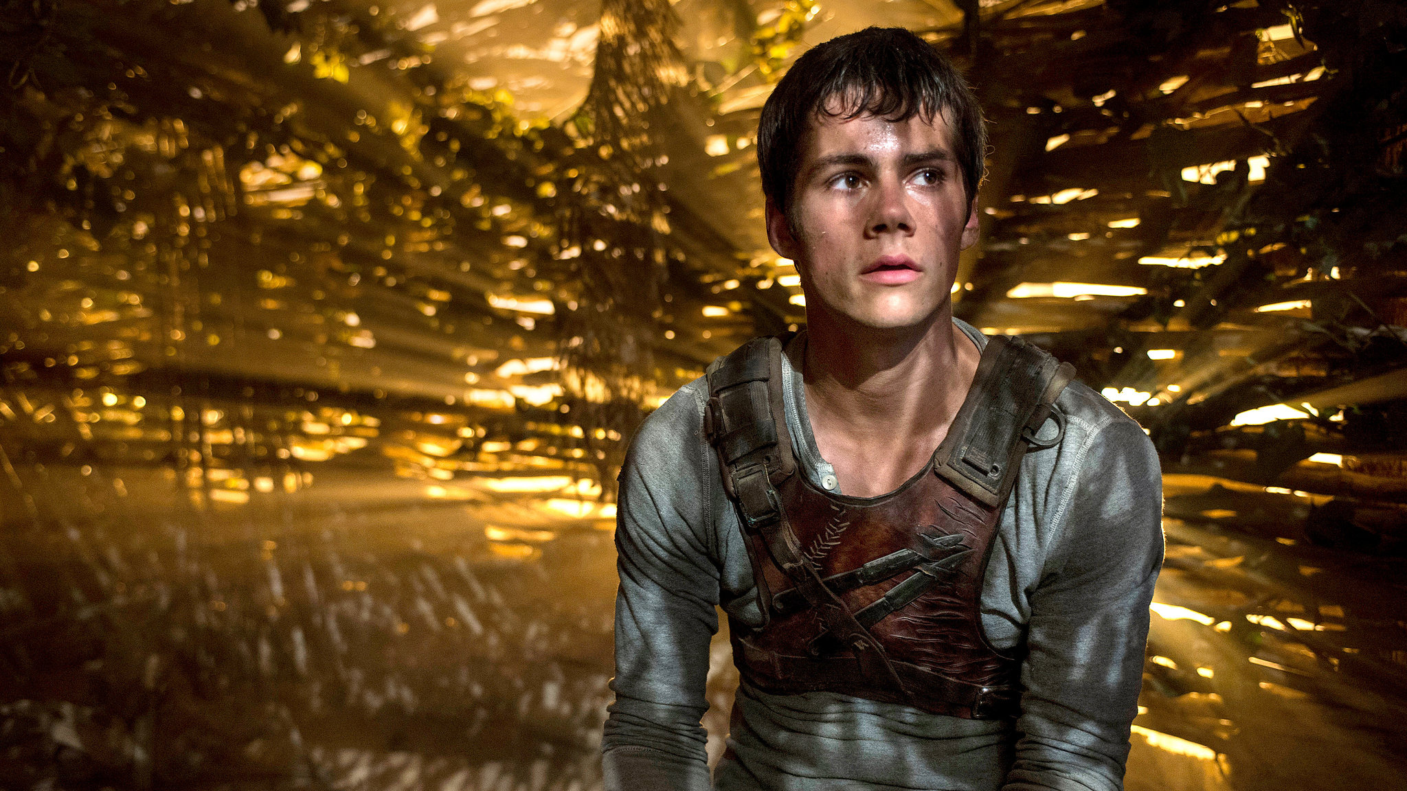 Distopik film listemizde yer alan The Maze Runner'dan bir fotoğraf.