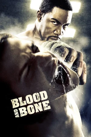 Kan ve Kemik – Blood and Bone (2009)