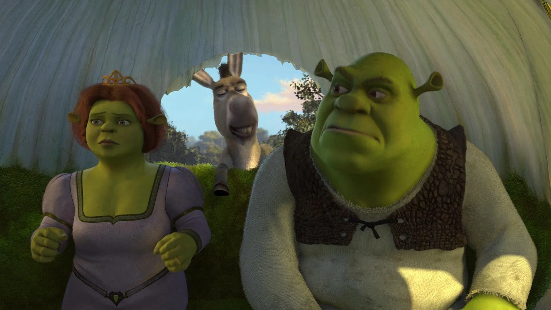 Shrek 2 (2004) 4 Shrek 2 (2004) filminden güzel bir fotoğraf.