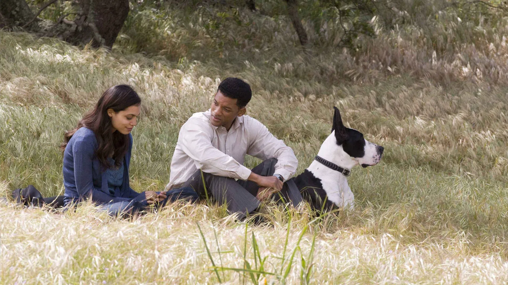 Yedi Yaşam - Seven Pounds (2008) 3 Yedi Yaşam - Seven Pounds (2008) 2008, Barry Pepper, Dram, Elpidia Carrillo, Gabriele Muccino, Gerilim, Gizem, Grant Nieporte, Michael Ealy, Robinne Lee, Rosario Dawson, Will Smith, Woody Harrelson