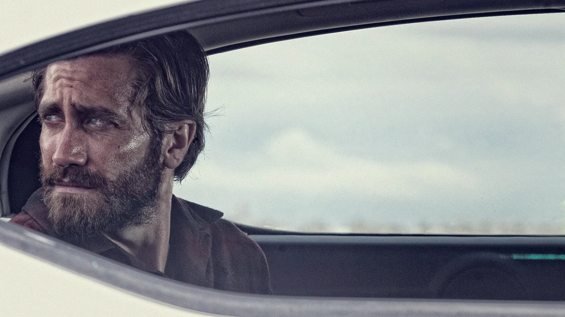 Gece Hayvanları - Nocturnal Animals (2016) filminin bilgileri içeriğimizde sizler için paylaşıldı.