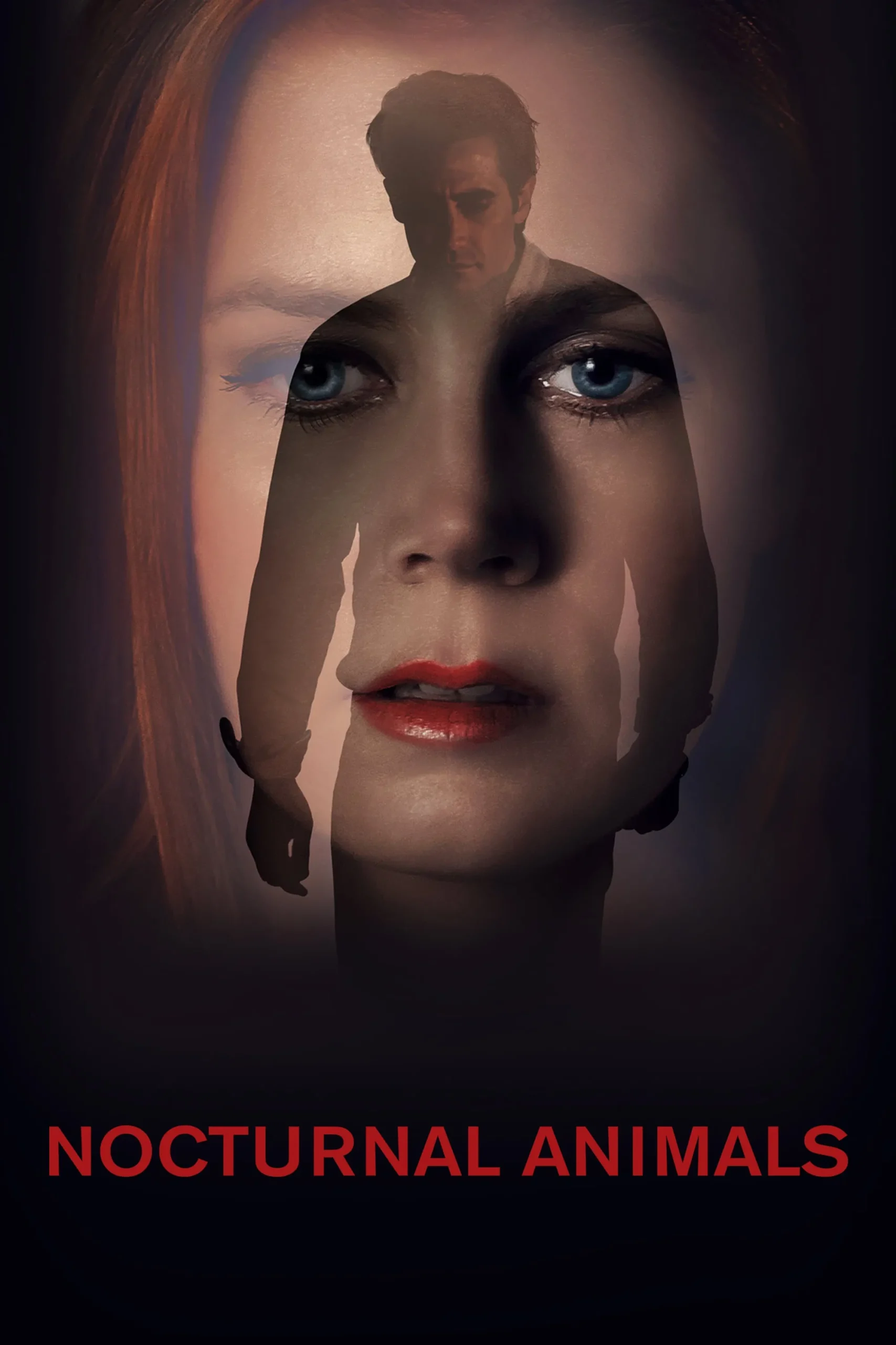 Gece Hayvanları - Nocturnal Animals (2016) 2016, Aaron Taylor-Johnson, Amy Adams, Austin Wright, Dram, Gerilim, Isla Fisher, Jake Gyllenhaal, Michael Shannon, Tom Ford