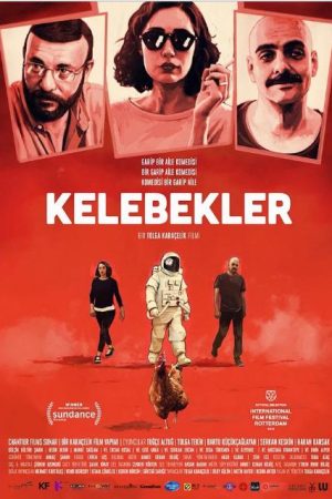 Kelebekler
