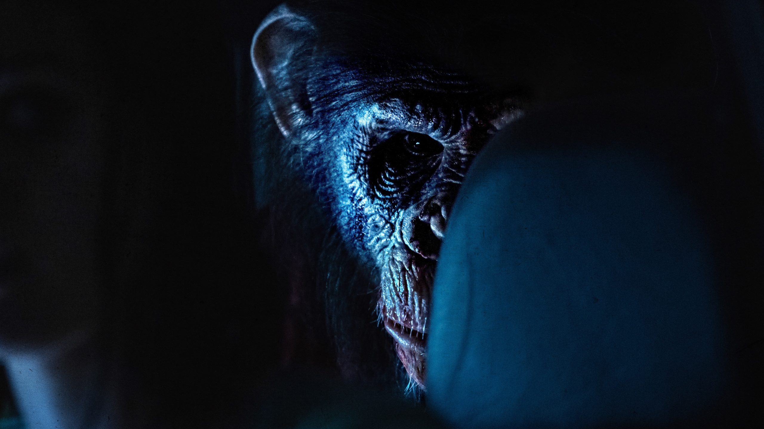 Primat (2025) filminden bir fotoğraf.