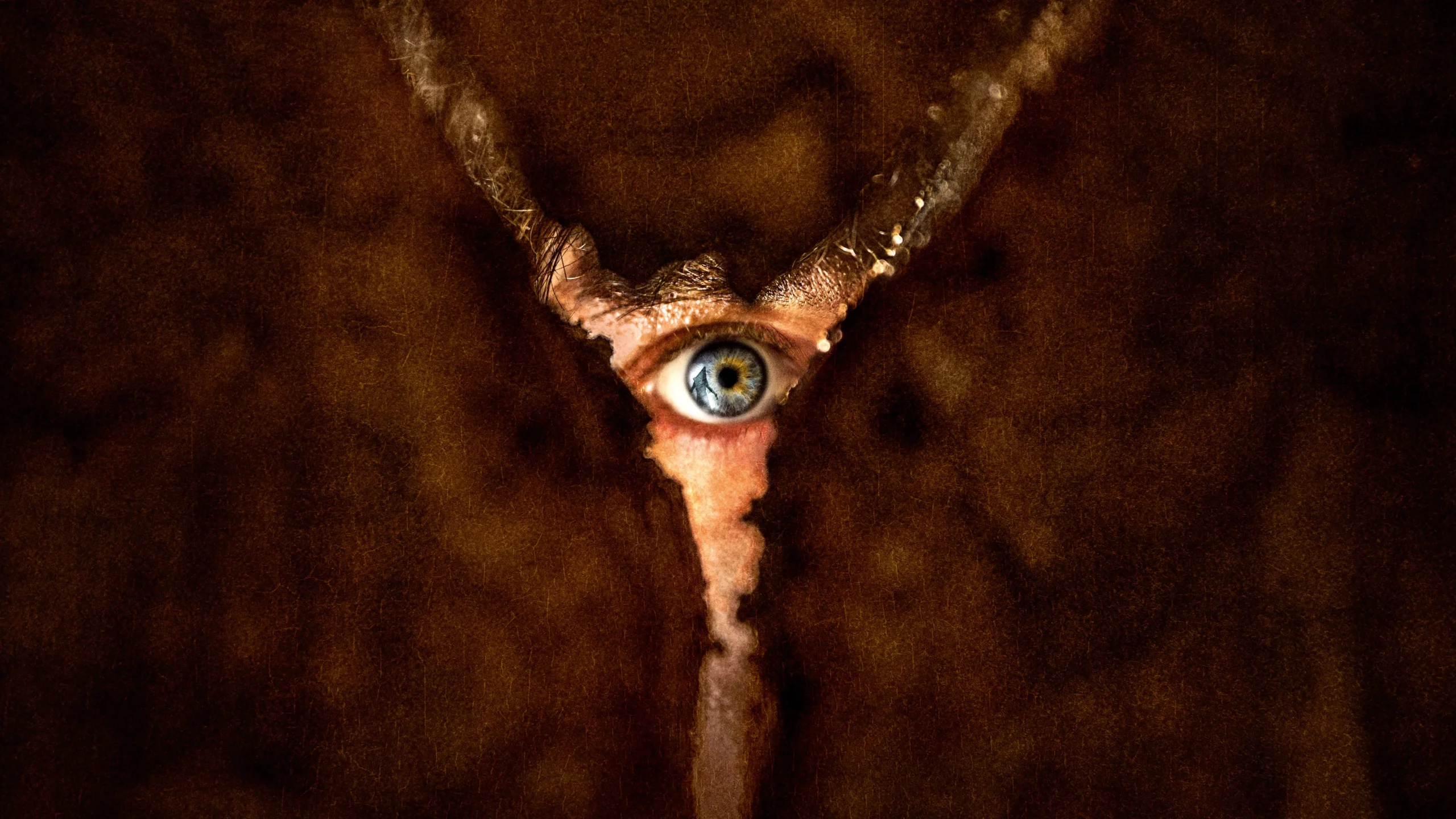 Sessiz Tepe: Dönüş - Return to Silent Hill (2026) 2026, Christophe Gans, Dram, Evie Templeton, Gizem, Hannah Emily Anderson, Jeremy Irvine, Keeichiro Toyama, Korku, Robert Strange, Sandra Vo-Anh, William Josef Schneider