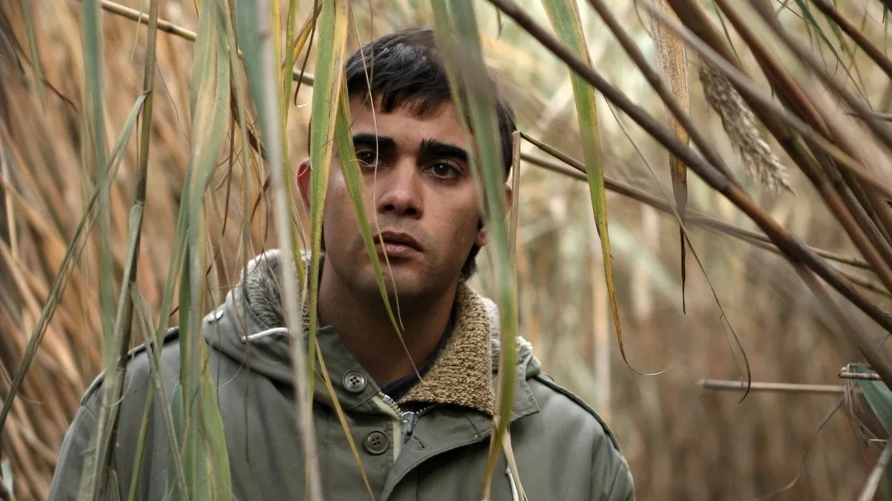 Süt (2008) 2008, Başak Köklükaya, Dram, Melih Selçuk, Orçun Köksal, Rıza Akın, Saadet Aksoy, Semih Kaplanoğlu