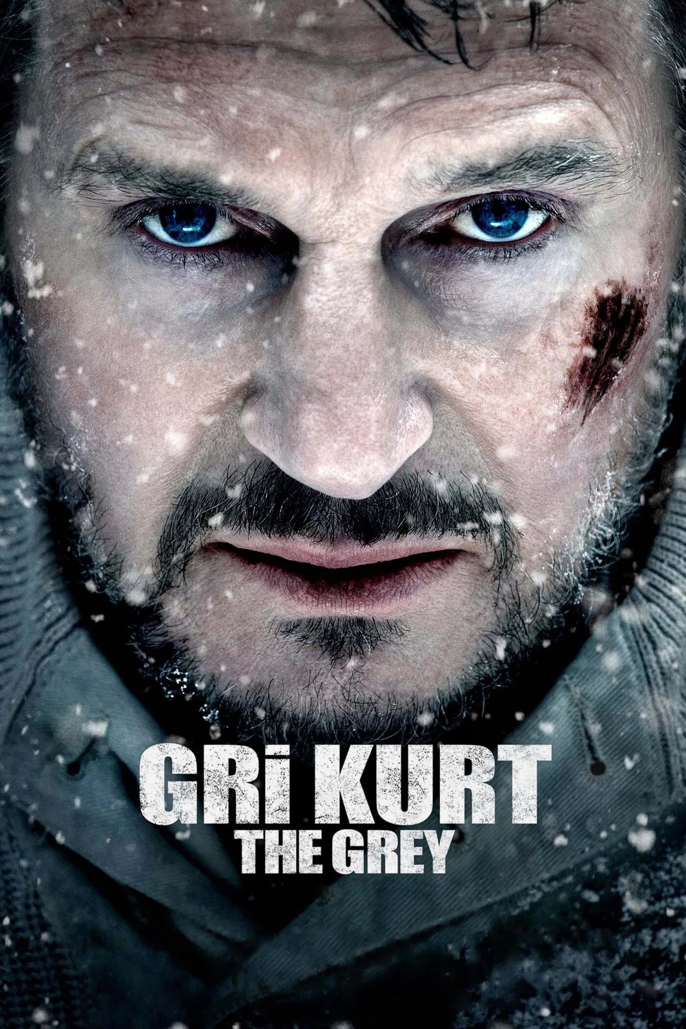 Gri Kurt - The Grey (2011) 2011, Aksiyon, Dallas Roberts, Dermot Mulroney, Dram, Frank Grillo, Gerilim, Ian Mackenzie Jeffers, Joe Carnahan, Korku, Liam Neeson, Macera