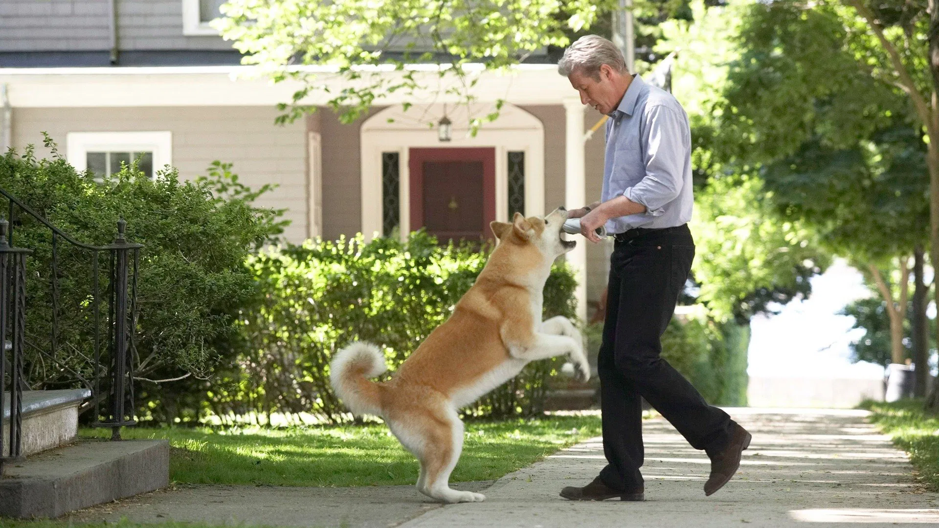 2009 yapımı film Hachi: Bir Köpeğin Hikayesi'nin bilgileri, fragmanı ve diğer ayrıntıları içeriğimizde paylaştık.