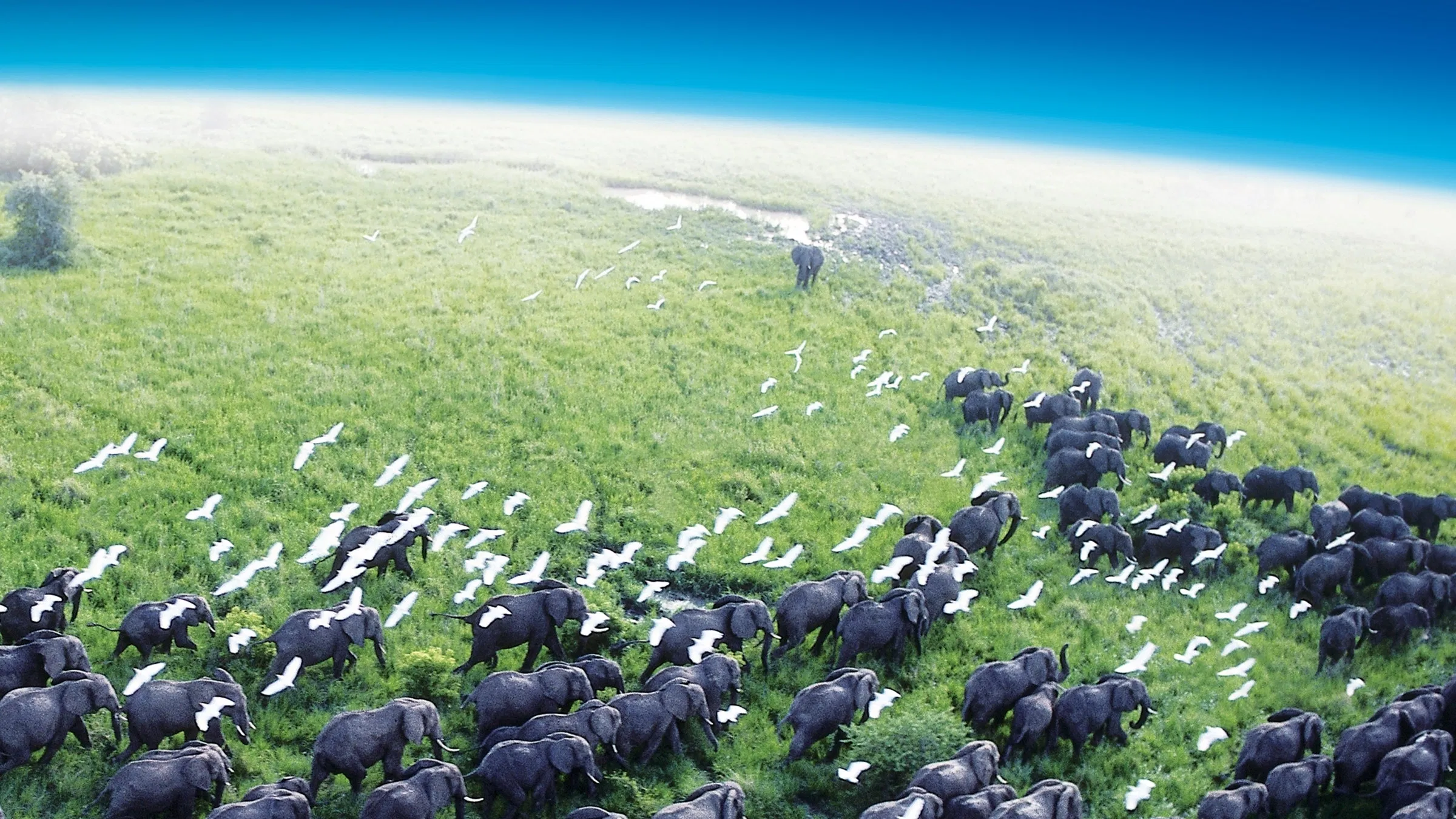 Planet Earth (2006) 2006, Aile, Belgesel