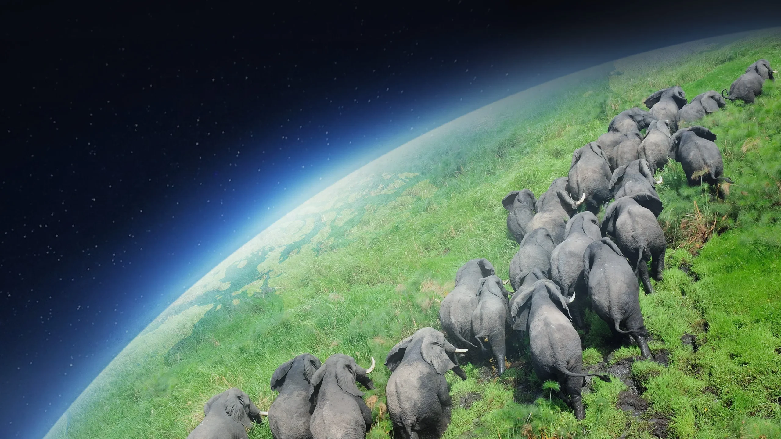 Planet Earth (2006) 2006, Aile, Belgesel