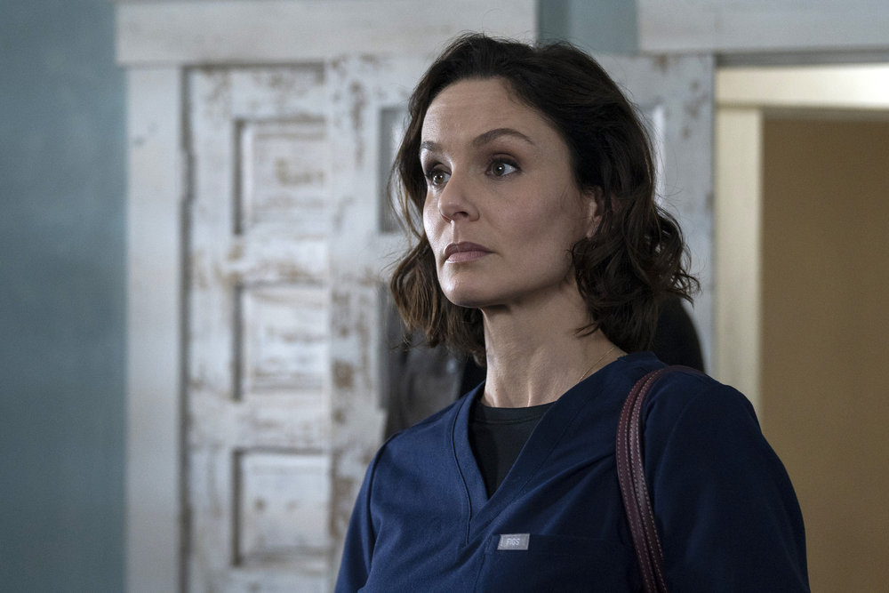 Sarah Wayne Callies Sarah Wayne Callies