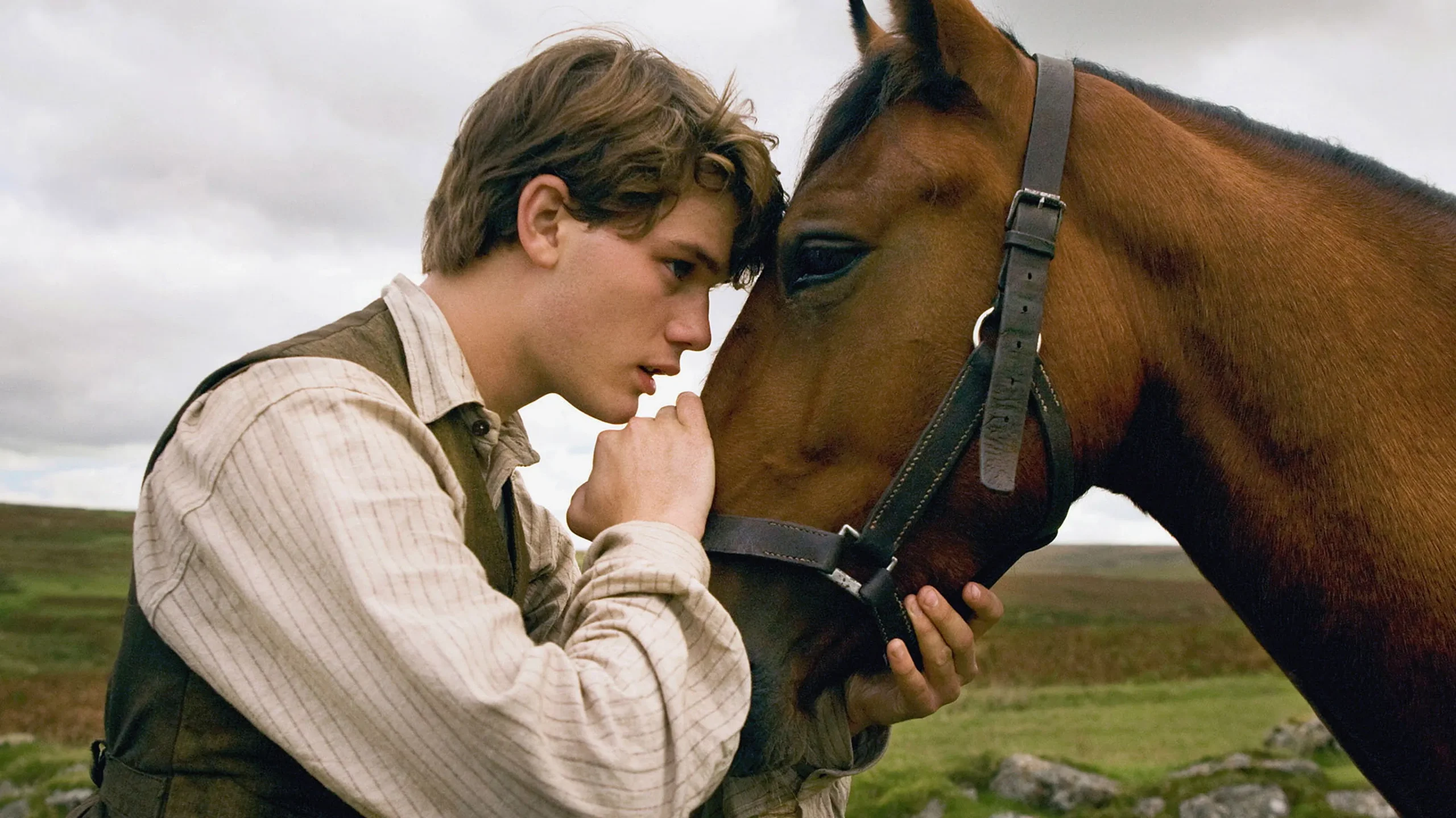 Savaş Atı - War Horse (2011) 2011, Benedict Cumberbatch, Celine Buckens, David Thewlis, Dram, Emily Watson, Jeremy Irvine, Lee Hall, Macera, Michael Morpurgo, Niels Arestrup, Peter Mullan, Richard Curtis, Savaş, Steven Spielberg, Tarih, Tom Hiddleston