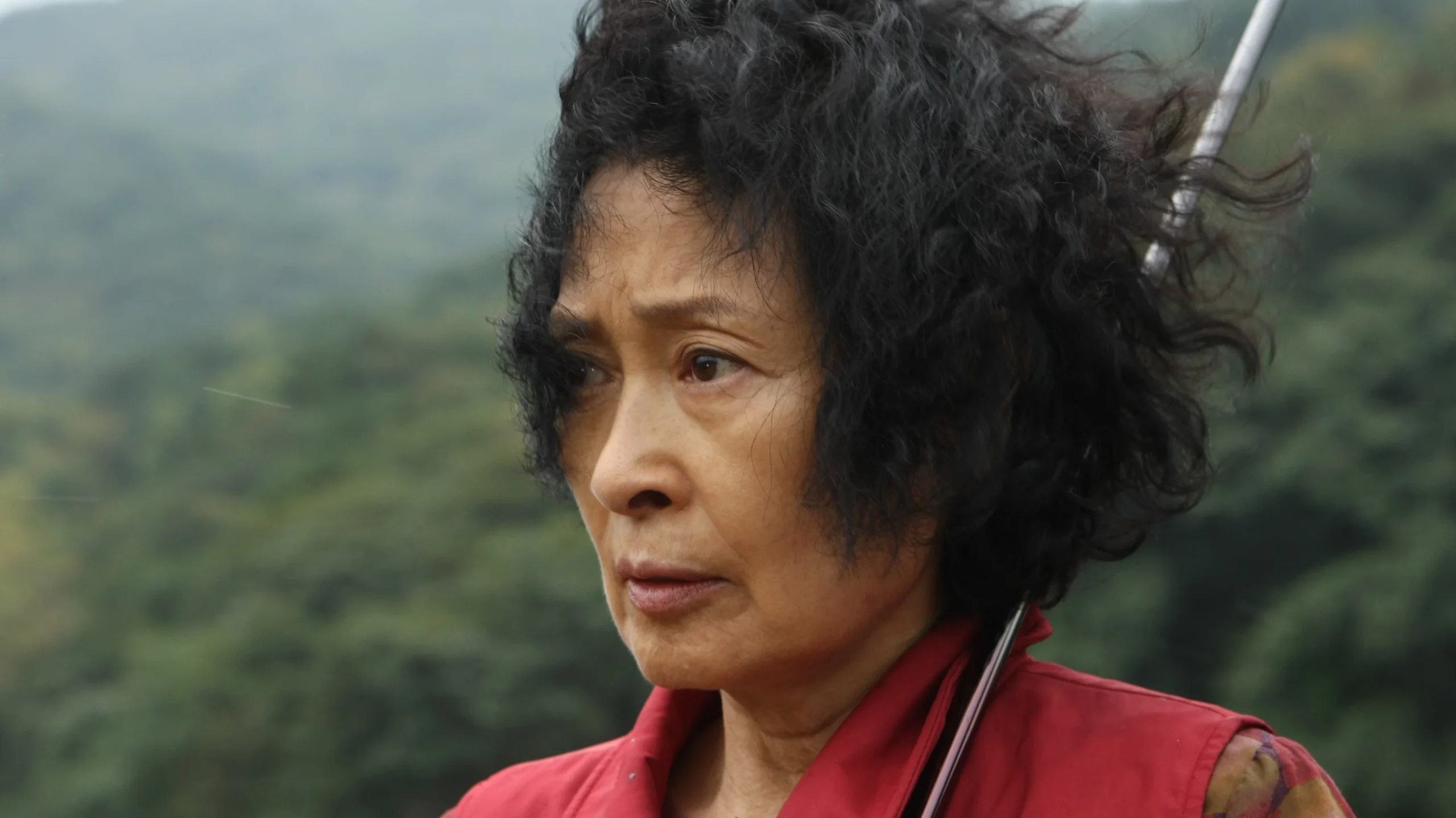Anne - Mother (2009) 5 Anne - Mother (2009) 2009, Bong Joon Ho, Dram, Gerilim, Gizem, Jin Goo, Kim Hye-ja, Park Eun-kyo, Suç, Won Bin, Yun Je-mun