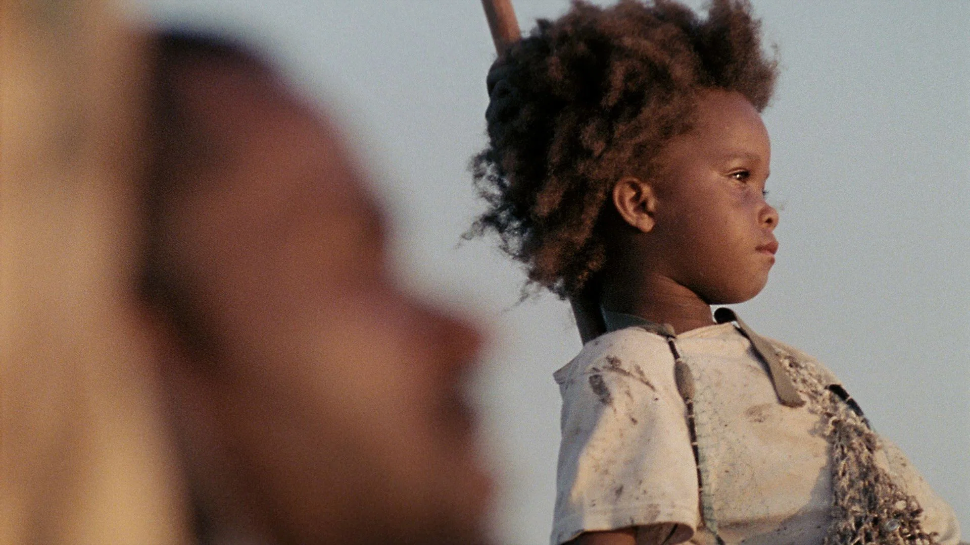 Düşler Diyarı - Beasts of the Southern Wild (2012) 4 Düşler Diyarı - Beasts of the Southern Wild (2012) 2012, Benh Zeitlin, Dram, Dwight Henry, Fantastik, Levy Easterly, Lucy Alibar, Macera, Quvenzhane Wallis