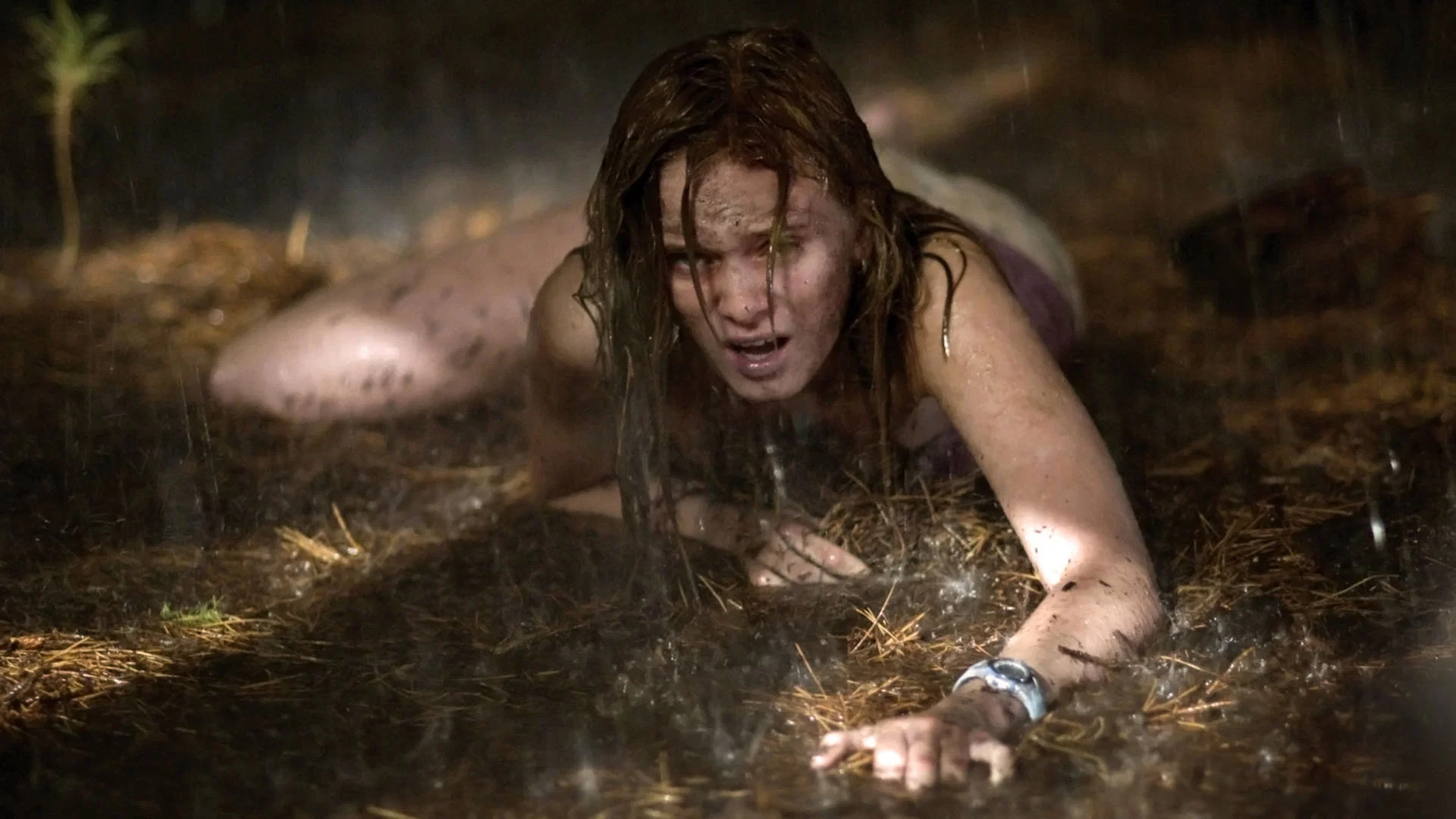 Soldaki Son Ev - The Last House On The Left (2009) 2009, Adam Alleca, Carl Ellswroth, Dennis Illiadis, Garret Dillahunt, Gerilim, Korku, Monica Potter, Tony Goldwyn, Wes Craven
