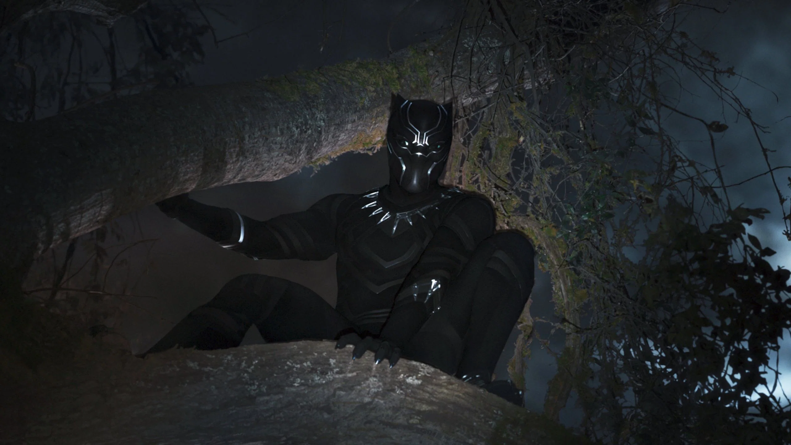 Black Panther (2018) 3 Black Panther (2018) 2018, Aksiyon, Bilim Kurgu, Chadwick Boseman, Danai Gurira, Daniel Kaluuya, Joe Robert Cole, Letitia Wright, Lupita Nyong'o, Macera, Martin Freeman, Michael B. Jordan, Ryan Coogler, Stan Lee, Winston Duke