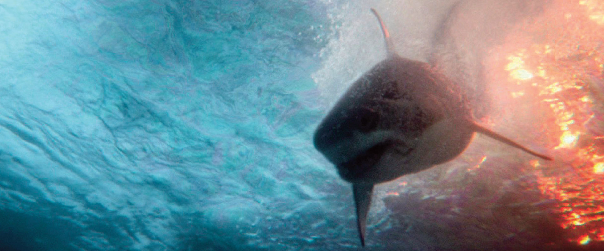 Deep Water (2026) 2026, Aaron Eckhart, Aksiyon, Angus Sampson, Ben Kingsley, Dram, Gerilim, Kelly Gale, Korku, Lucy Barrett, Molly Belle Wright, Pete Bridges, Renny Harlin, S.P. Krause, Shayne Armstrong