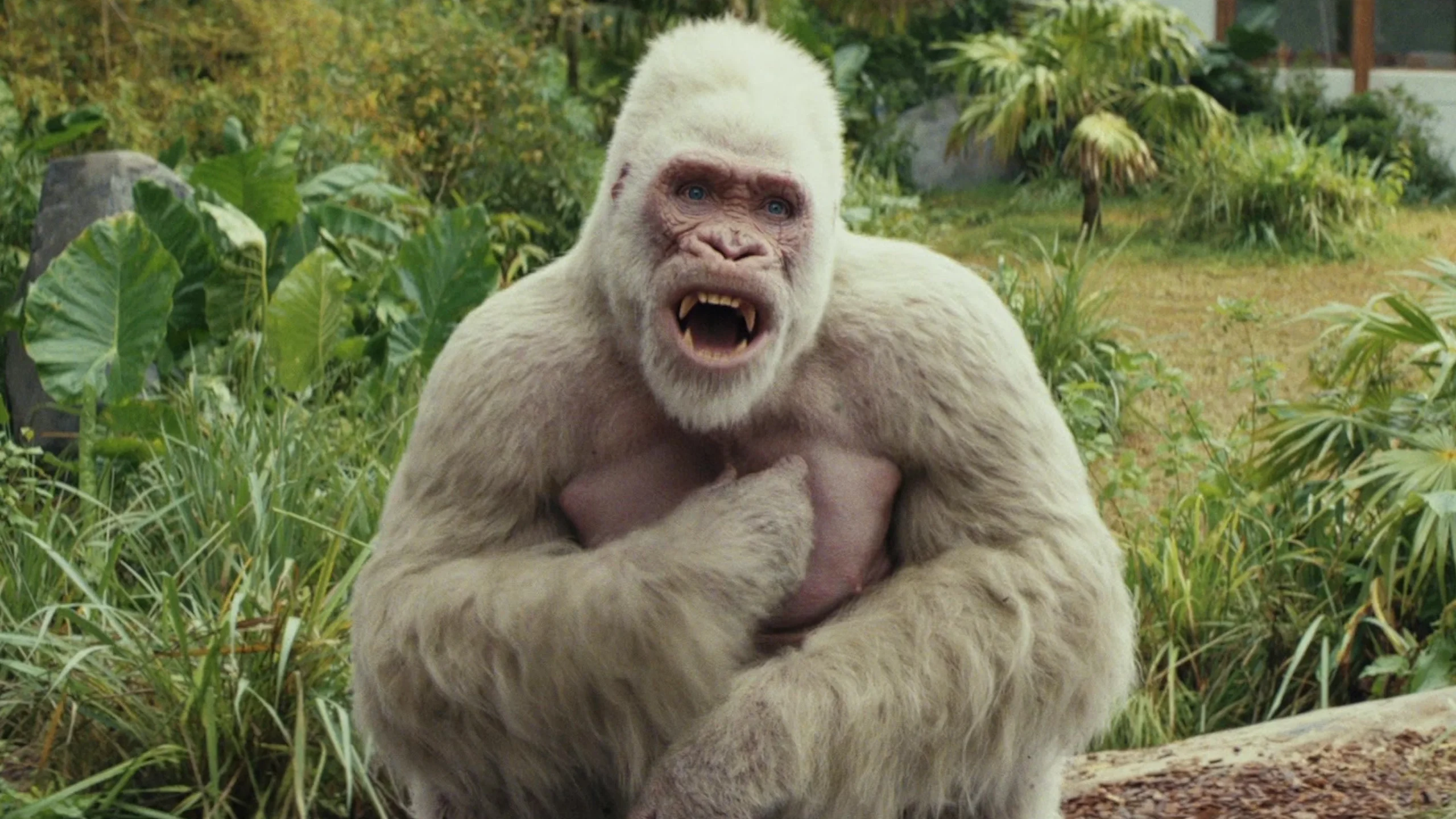 Rampage: Büyük Yıkım (2018) 2018, Aksiyon, Animasyon, Bilim Kurgu, Brad Peyton, Charlton Cuse, Dwayne Johnson, Jake Lacy, Jeffrey Dean Morgan, Joe Manganiello, Macera, Malin Akerman, Marley Shelton, Naomie Harris, Ryan Engle, Ryan J. Condal