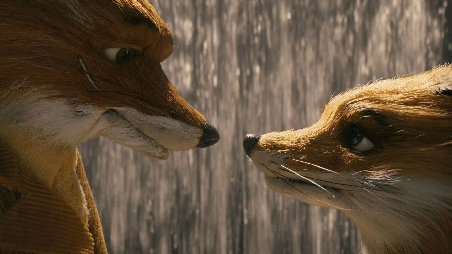 Yaman Tilki - Fantastic Mr. Fox (2009) 2009, Aile, Animasyon, Bill Murray, Dram, George Clooney, Jason Schwartzman, Komedi, Macera, Meryl Streep, Noah Baumbach, Roald Dahl, Suç, Wallace Wolodarsky, Wes Anderson