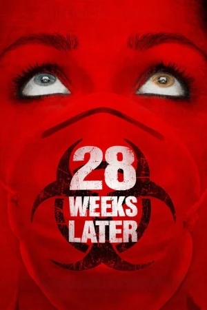 28 Hafta Sonra