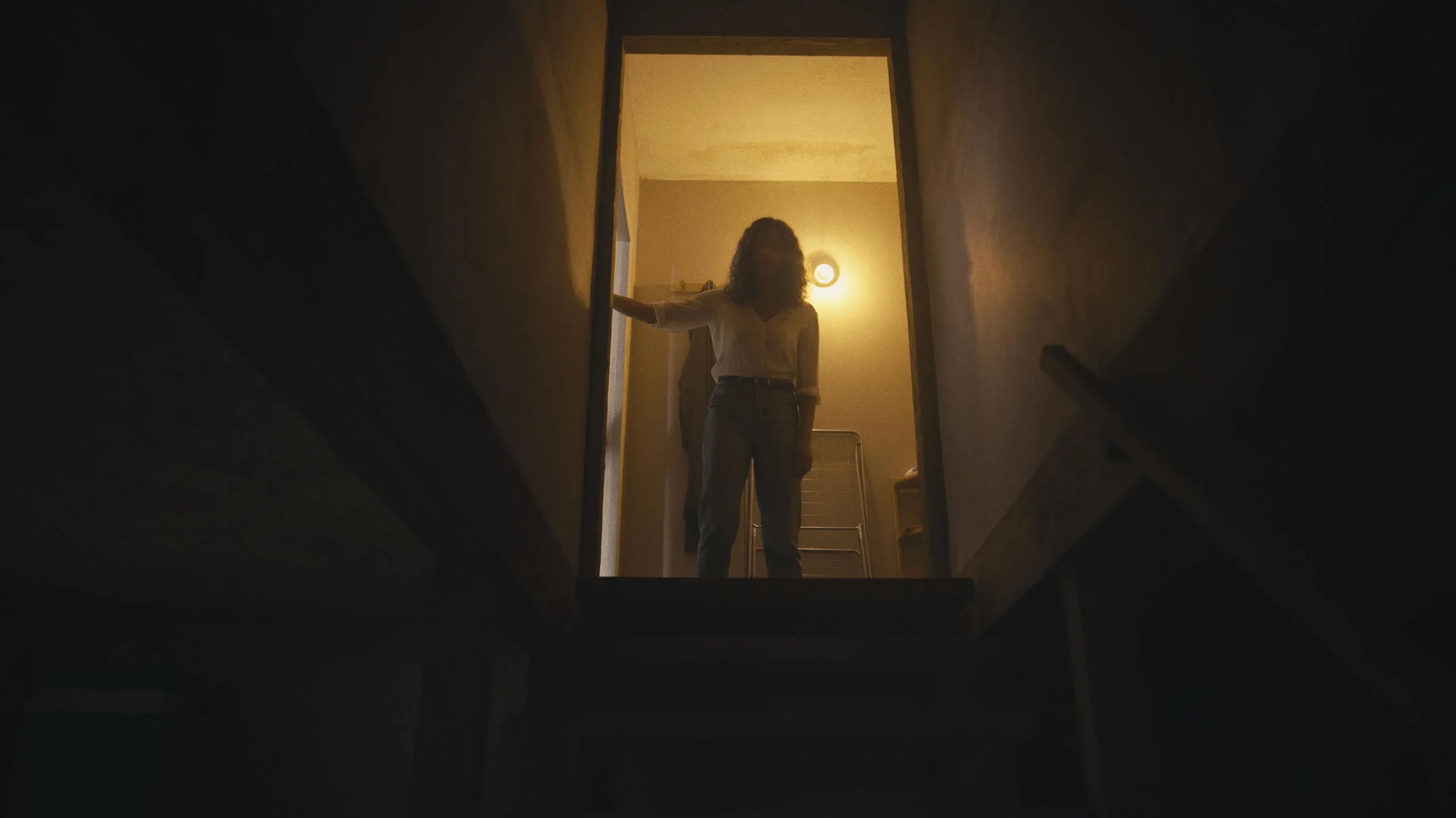Barbarian 2022, Amerika Birleşik Devletleri, Bill Skarsgard, Georgina Campbell, Gerilim, Gizem, İngilizce, İspanyolca, Jaymes Butler, Justin Long, Kate Bosworth, Korku, Matthew Patrick Davis, Richard Brake, Sara Paxton, Zach Cregger